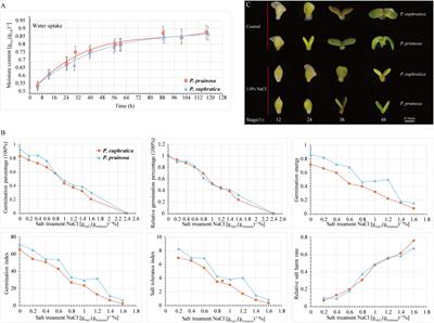 Transcriptomic Analysis of Seed Germination Under Salt Stress in Two Desert Sister Species (Populus euphratica and P. pruinosa)